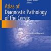 Atlas of Diagnostic Pathology of the Cervix: A Case-Based Approach 1st ed. 2021 Edition PDF