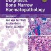 Diagnostic Bone Marrow Haematopathology Book with Online content 1st Edition PDF