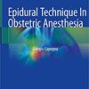 Epidural Technique In Obstetric Anesthesia 1st ed. 2020 Edition PDF