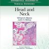 Differential Diagnoses in Surgical Pathology: Head and Neck First Edition PDF