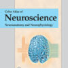 Color Atlas of Neuroscience: Neuroanatomy and Neurophysiology 1st Edition PDF