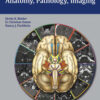 Cranial Nerves: Anatomy, Pathology, Imaging 1st Edition PDF