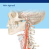 Neurosurgery Fundamentals 1st Edition PDF