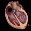 MRIOnline Mastery Series: Fundamentals of Cardiac MRI 2021 (CME VIDEOS)