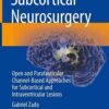 Subcortical Neurosurgery: Open and Parafascicular Channel-Based Approaches for Subcortical and Intraventricular Lesions 1st ed. 2022 Edition PDF Original