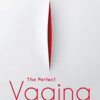 The Perfect Vagina: Cosmetic Surgery in the Twenty-First Century (Original PDF from Publisher)