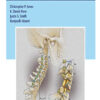 Cervical Spine Deformity Surgery (Original PDF from Publisher)