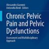 Chronic Pelvic Pain and Pelvic Dysfunctions: Assessment and Multidisciplinary Approach (Urodynamics, Neurourology and Pelvic Floor Dysfunctions) 1st ed. 2021 Edition (ORIGINAL PDF from Publisher)