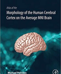 Atlas of the Morphology of the Human Cerebral Cortex on the Average MNI Brain (Original PDF from Publisher)