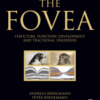 The Fovea Structure, Function, Development, and Tractional Disorders
