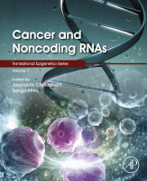 Cancer and Noncoding RNAs Volume 1 in Translational Epigenetics