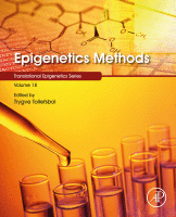 Epigenetics Methods Volume 18 in Translational Epigenetics