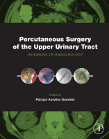 Percutaneous Surgery of the Upper Urinary Tract