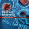 Stem Cell Epigenetics Volume 17 in Translational Epigenetics