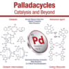 Palladacycles Catalysis and Beyond