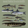 Biodiversity of Fishes in Arunachal Himalaya Systematics, Classification, and Taxonomic Identification