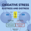 Oxidative Stress Eustress and Distress