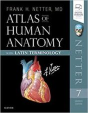Atlas of Human Anatomy: Latin Terminology: English and Latin Edition (Netter Basic Science), 7th Edition (Original PDF