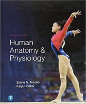 Human Anatomy & Physiology 11th Ed