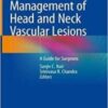 Management of Head and Neck Vascular Lesions A Guide for Surgeons 2022 Original pdf