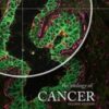 The Biology of Cancer, 2nd Edition (Original PDF
