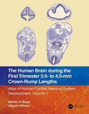 The Human Brain during the First Trimester 3.5- to 4.5-mm Crown-Rump Lengths: Atlas of Human Central Nervous System Development, Volume 1 2022 Original PDF