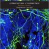 Intervention and Reflection: Basic Issues in Bioethics (10th Edition) 2016 Epub + Converted Pdf
