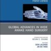Global Advances in Wide Awake Hand Surgery, An Issue of Hand Clinics (Volume 35-1) (The Clinics: Orthopedics, Volume 35-1) (Original PDF