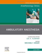 Ambulatory Anesthesia, An Issue of Anesthesiology Clinics (Volume 37-2) (The Clinics: Internal Medicine, Volume 37-2) (Original PDF
