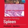 Diagnostic Pathology: Spleen, 2nd Edition (Original PDF