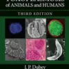 Toxoplasmosis of Animals and Humans
