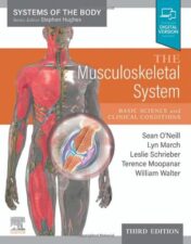 The Musculoskeletal System: Systems of the Body Series, 3rd edition 2022 Original PDF