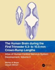 The Human Brain during the First Trimester 6.3- to 10.5-mm Crown-Rump Lengths: Atlas of Human Central Nervous System Development, Volume 2 (Atlas of Human Central Nervous System Development, 2) 2022 Original PDF