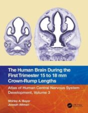 The Human Brain during the First Trimester 15- to 18-mm Crown-Rump Lengths: Atlas of Human Central Nervous System Development, Volume 3 (Atlas of Human Central Nervous System Development, 3) 2022 Original PDF
