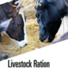 Livestock Ration Formulation for Dairy Cattle and Buffalo provides an interdisciplinary, integrative perspective and optimization on dairy cattle feed formulation problem solving.