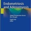 Endometriosis and Adenomyosis Global Perspectives Across the Lifespan 2022 Original pdf