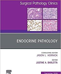 Endocrine Pathology, An Issue of Surgical Pathology Clinics (Volume 12-4) (The Clinics: Surgery, Volume 12-4)