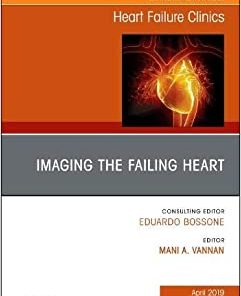 Imaging the Failing Heart, An Issue of Heart Failure Clinics (Volume 15-2) (The Clinics: Internal Medicine, Volume 15-2)