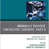Minimally Invasive Oncologic Surgery, Part II, An Issue of Surgical Oncology Clinics of North America (Volume 28-2) (The Clinics: Surgery, Volume 28-2)