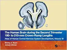 The Human Brain during the Second Trimester 190– to 210–mm Crown-Rump Lengths: Atlas of Human Central Nervous System Development, Volume 10 (Atlas of Human Central Nervous System Development, 10)