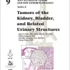 Tumors of the Kidney, Bladder, and Related Urinaray Structures (AFIP Atlases of Tumor and Non-tumor Pathology, Series 5, Volume 9)