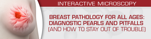 USCAP Breast Pathology for All Ages: Diagnostic Pearls and Pitfalls (And How to Stay Out of Trouble) 2022