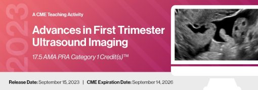 2023 Advances in First Trimester Ultrasound Imaging – DocmedED