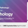 2023 Classic Lectures in Pathology: What You Need to Know: Lung Pathology