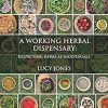 A Working Herbal Dispensary: Respecting Herbs As Individuals ()