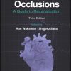 Chronic Total Occlusions: A Guide to Recanalization, 3rd Edition