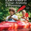 Essentials of Human Anatomy & Physiology, 13th Edition