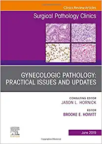 Gynecologic Pathology: Practical Issues and Updates, An Issue of Surgical Pathology Clinics (Volume 12-2) (The Clinics: Surgery, Volume 12-2)