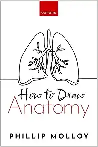 How To Draw Anatomy