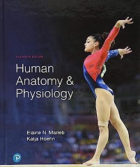 Human Anatomy & Physiology, 11th Edition